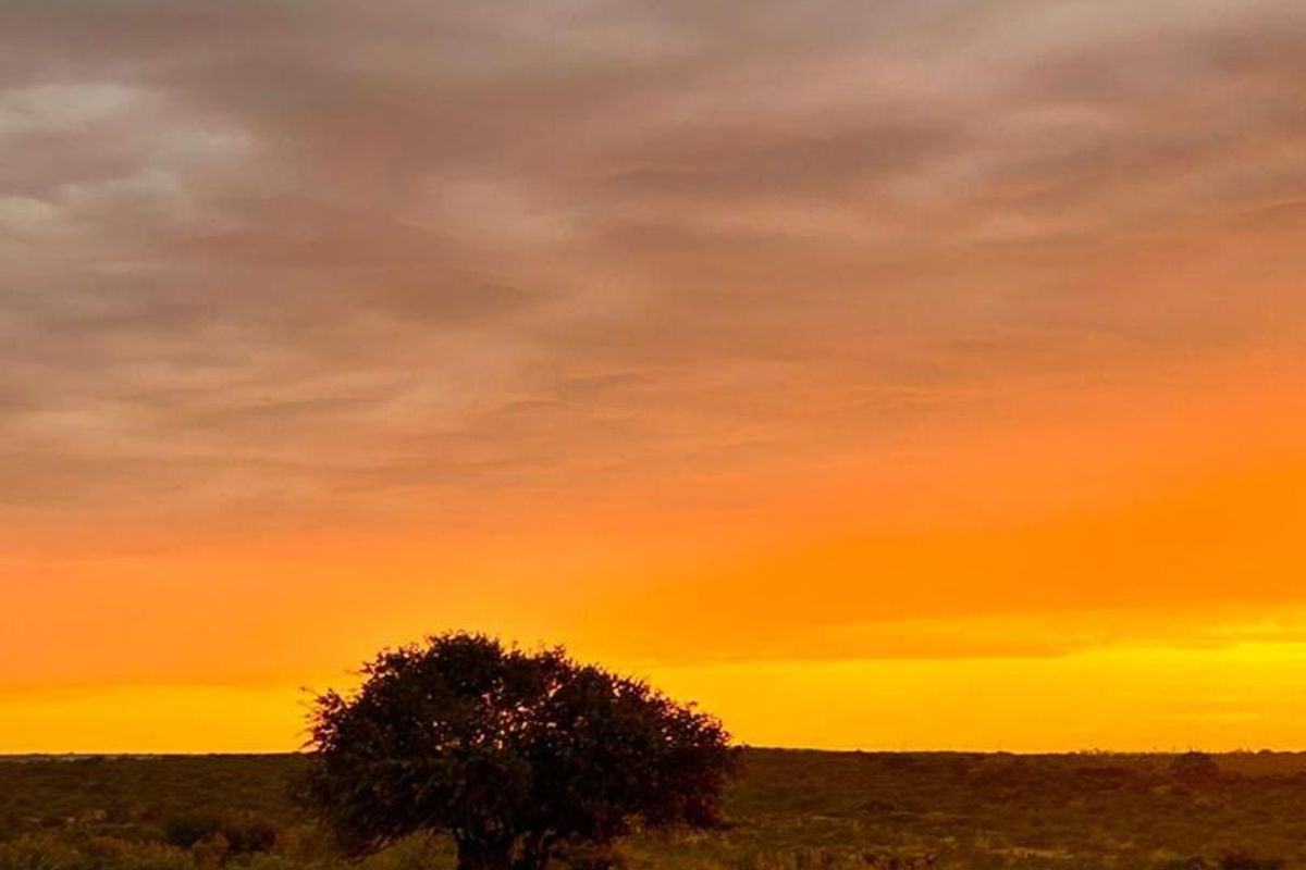 Prime Opportunity for Cash Buyers: Secure This Expansive Grazing Farm Property Today! - Photo 2