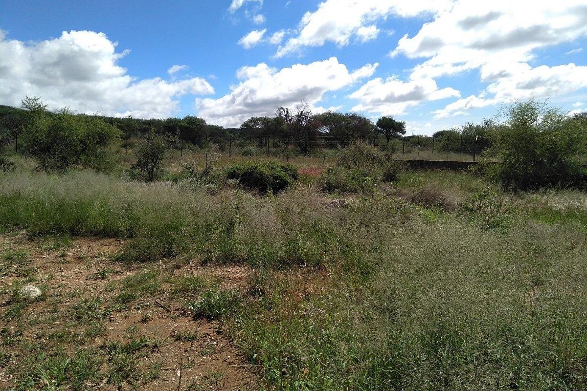 Scenic Vacant Land - Photo 2