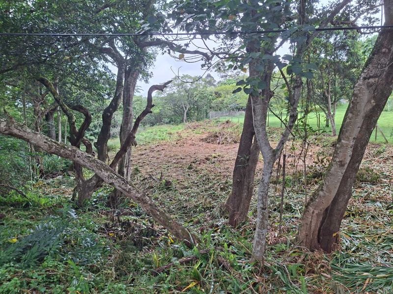 Nestled in the serene enclave of Crestview - Photo 2