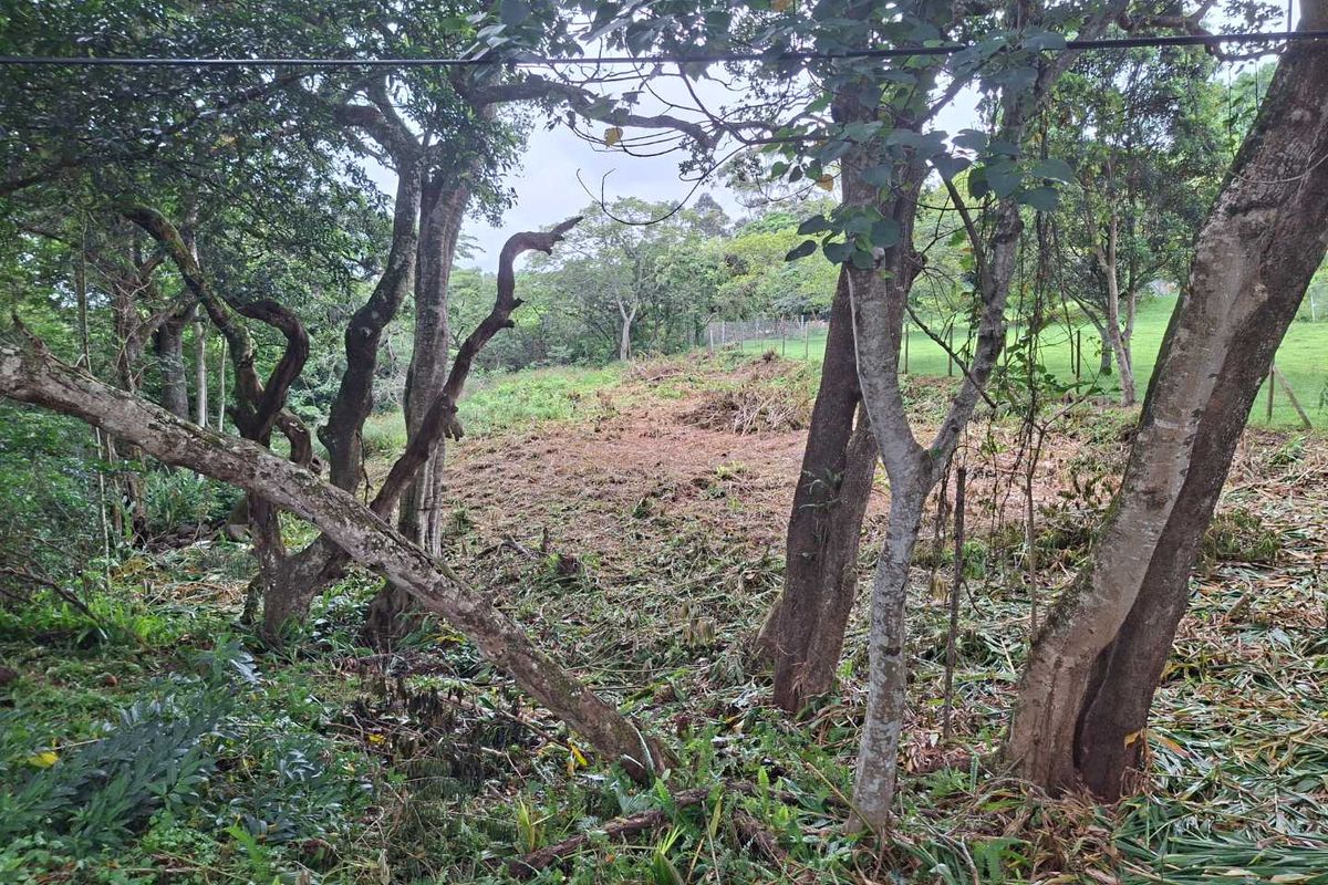 Nestled in the serene enclave of Crestview - Photo 2