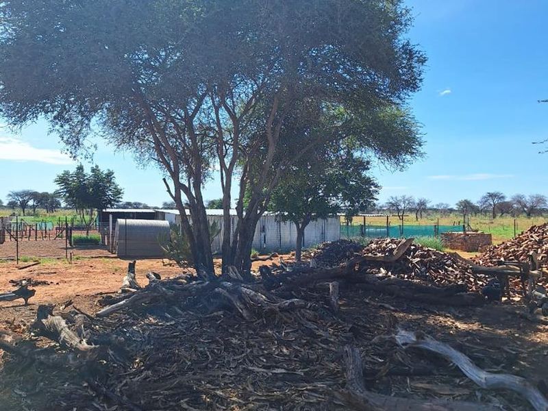 Cattle & Game Farm in the Hochfeld area. - Photo 3