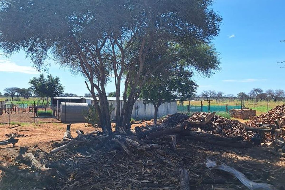 Cattle & Game Farm in the Hochfeld area. - Photo 3