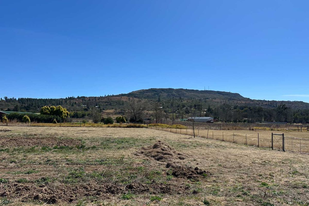 3 BEDROOM HOUSE ON  2HA PLOT FOR SALE - Photo 4