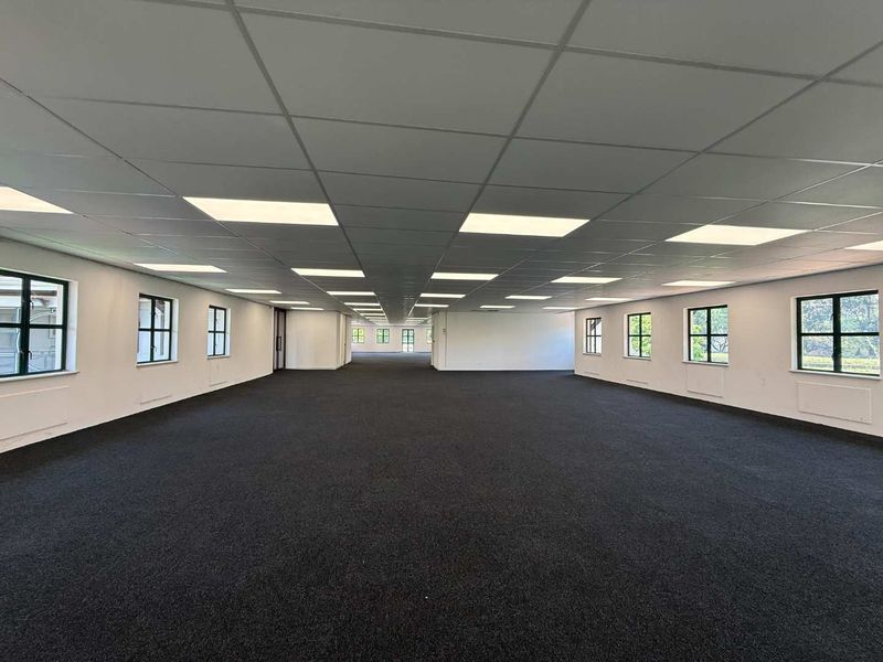 A spacious, open-plan office area featuring a suspended ceiling with recessed lighting, dark fitted carpeting, and large windows providing ample natural light.