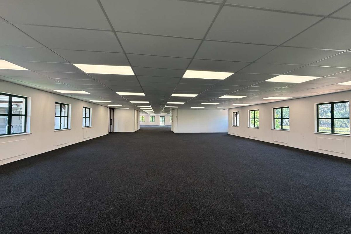 A spacious, open-plan office area featuring a suspended ceiling with recessed lighting, dark fitted carpeting, and large windows providing ample natural light.