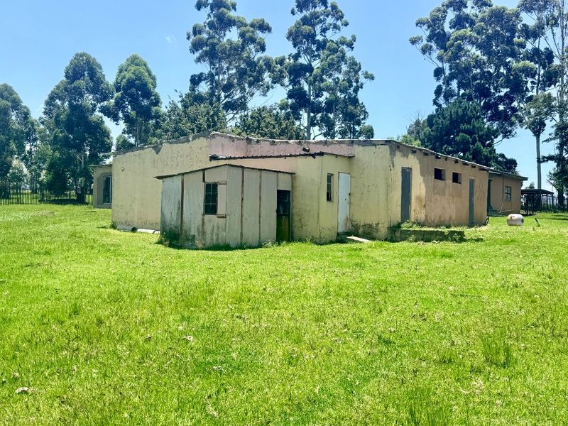 Smallholding for sale in Vryheid area - Photo 10