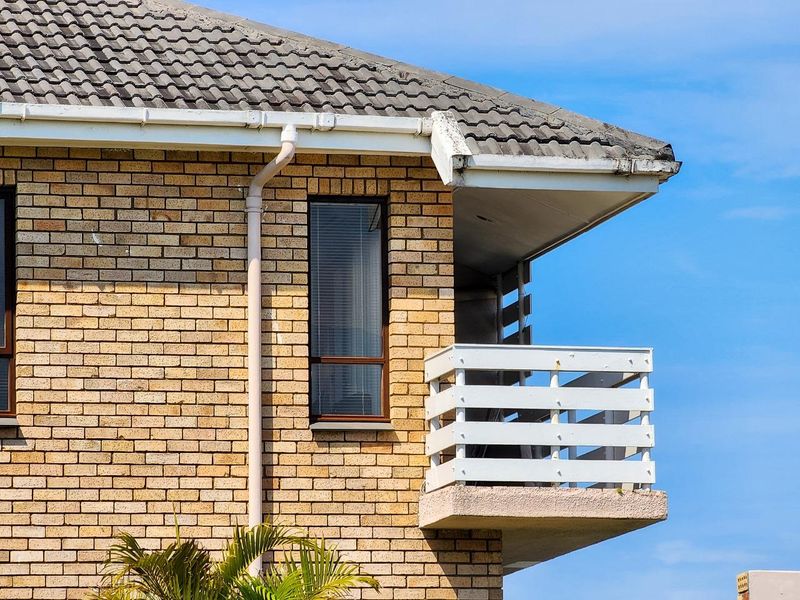 A Rare Find! - Photo 5