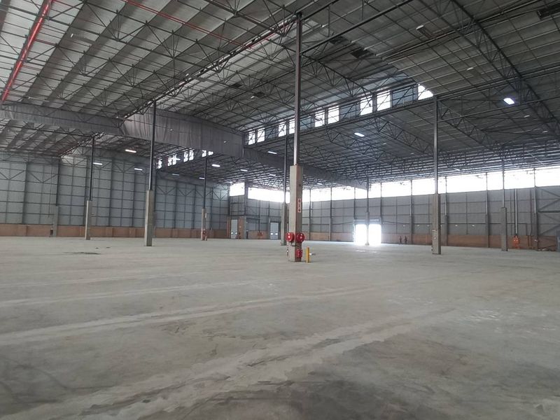A spacious, open-plan industrial warehouse featuring high ceilings, exposed steel trusses, concrete flooring, and integrated fire sprinkler systems, suitable for logistics or manufacturing.