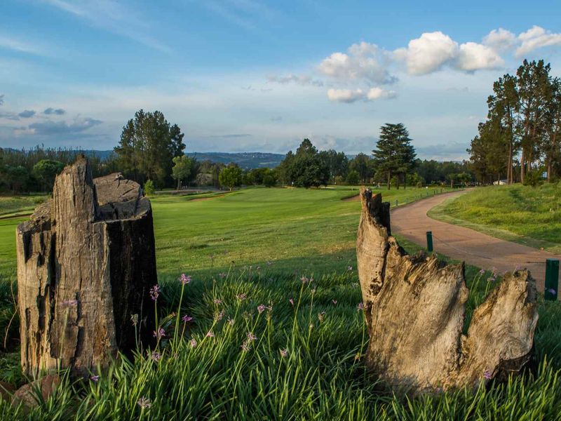 Contemporary Double-Storey Home on the 1st Hole | Eye of Africa Estate - Photo 9