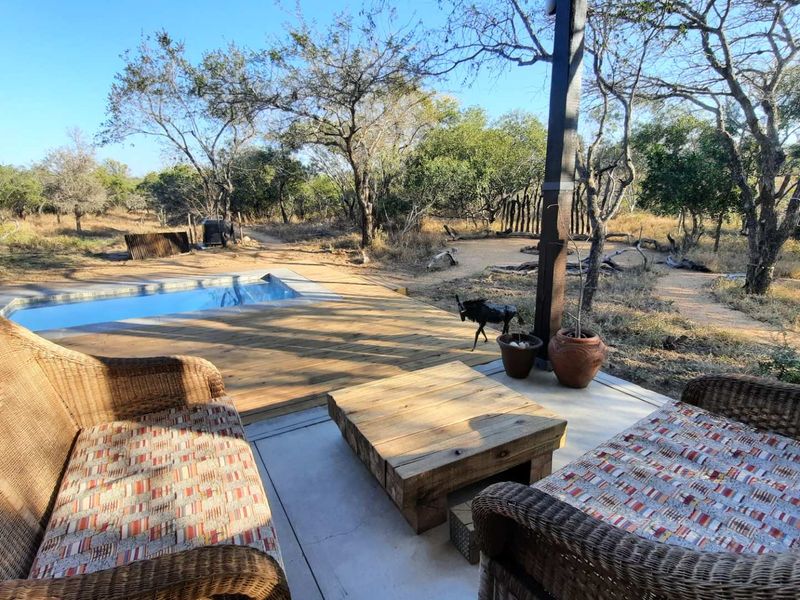 Outdoor patio area featuring a swimming pool set into wooden decking, overlooking a natural bushveld landscape.