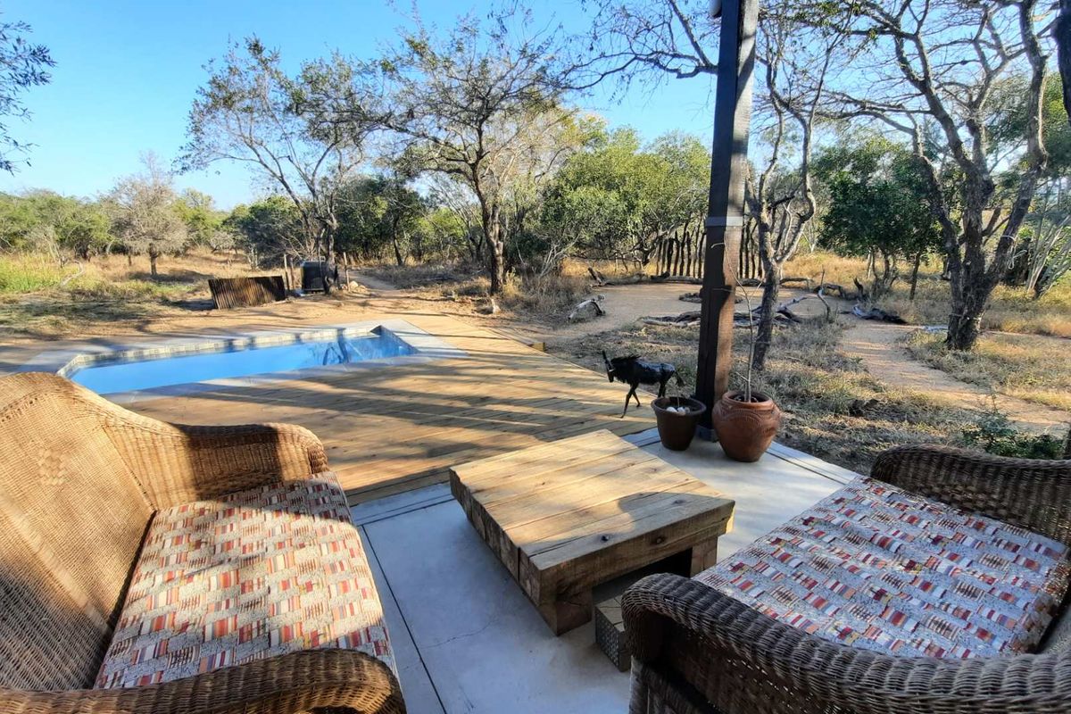 Outdoor patio area featuring a swimming pool set into wooden decking, overlooking a natural bushveld landscape.