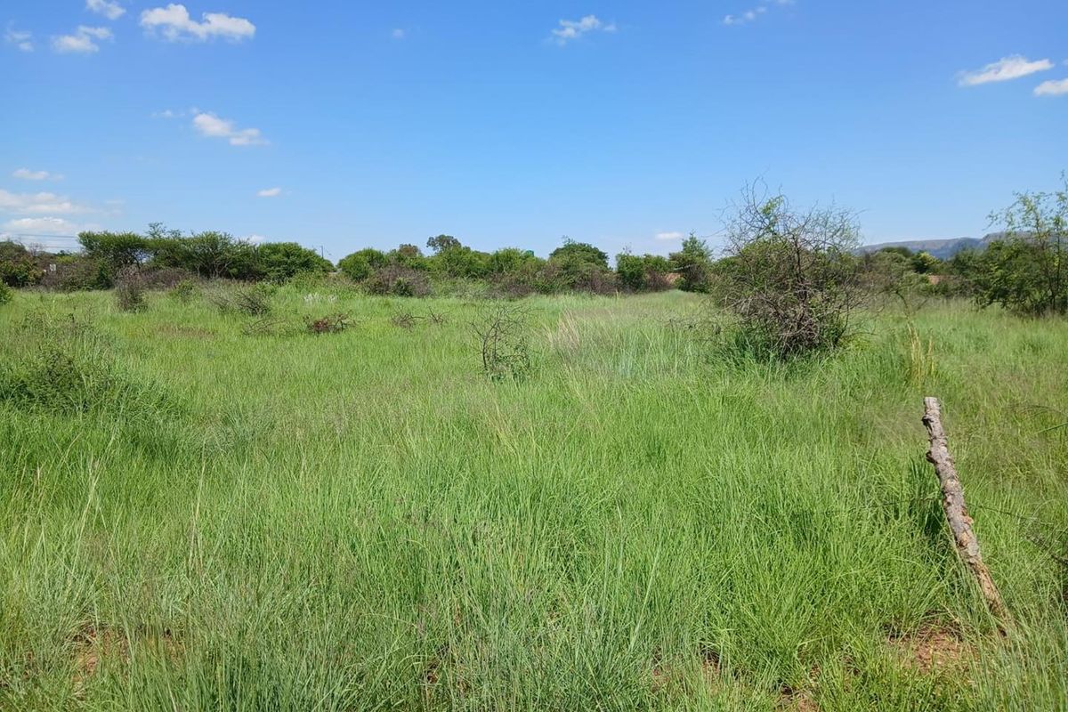 Investment Opportunity - Photo 2