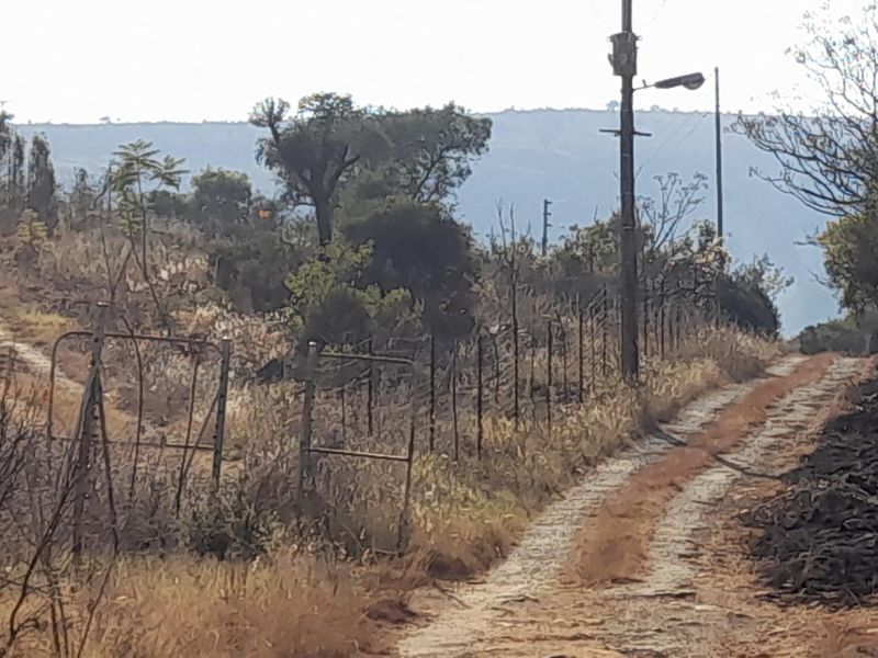 Secure, Scenic Vacant Stand in Kameeldrift West Awaits You! - Photo 10