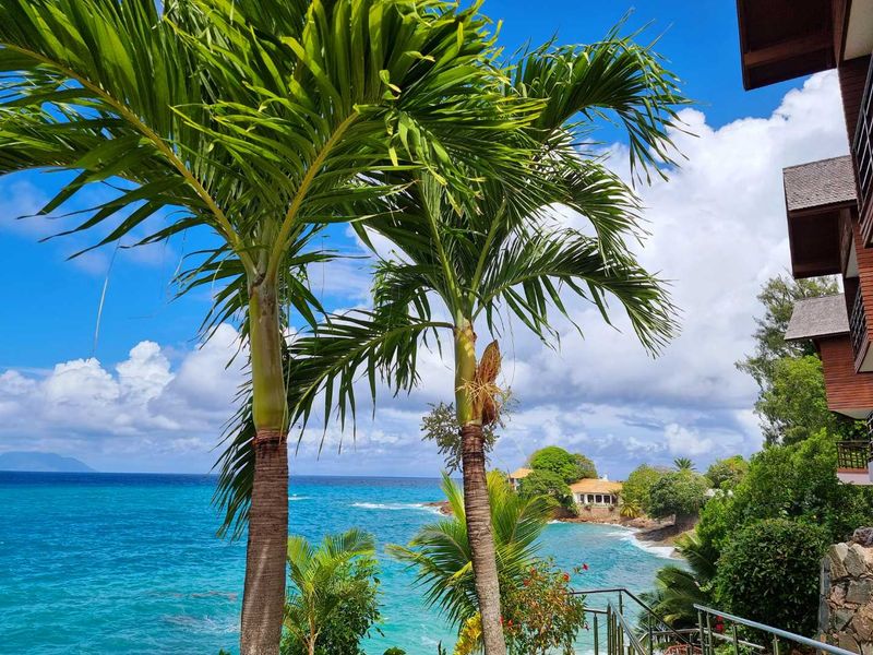 A scenic view of the coastline and ocean from a private balcony, featuring lush tropical landscaping and clear blue skies.