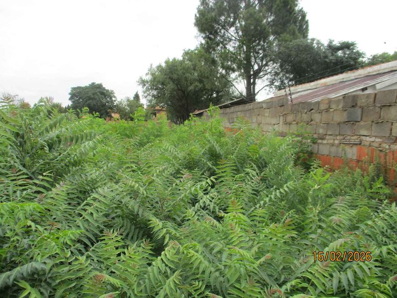 Enjoy the tranquility of Henley - Photo 7