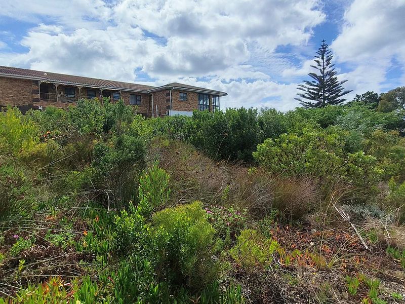 Spacious 900m2 Vacant Land For Sale in Dana Bay - Photo 3