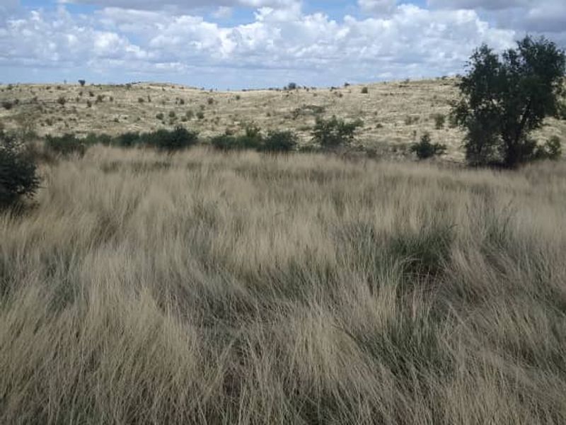A view of the expansive, undeveloped residential land featuring natural dry grass and rolling terrain under a clear blue sky.