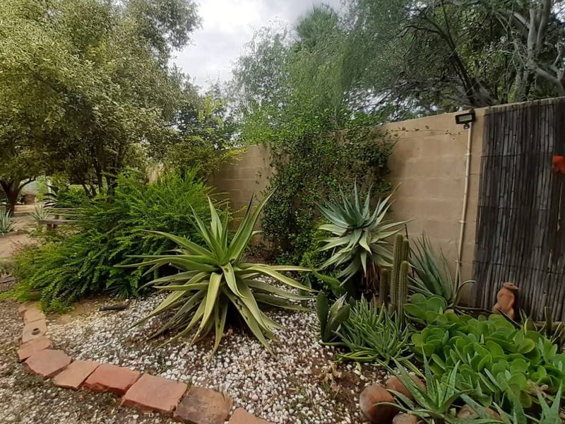 Lovely property with surrounded landscaped gardens and spacious verandas, situated in the outskirts of Omaruru, bordering the Omaruru River. - Photo 5