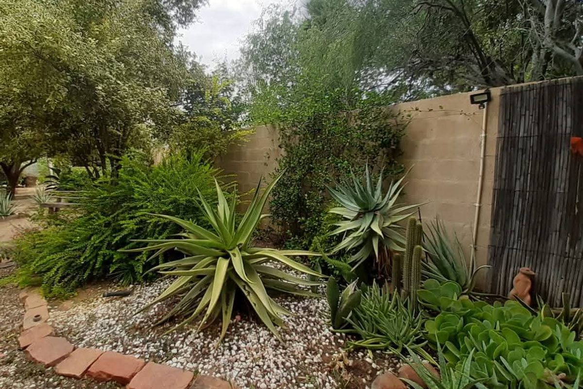 Lovely property with surrounded landscaped gardens and spacious verandas, situated in the outskirts of Omaruru, bordering the Omaruru River. - Photo 5