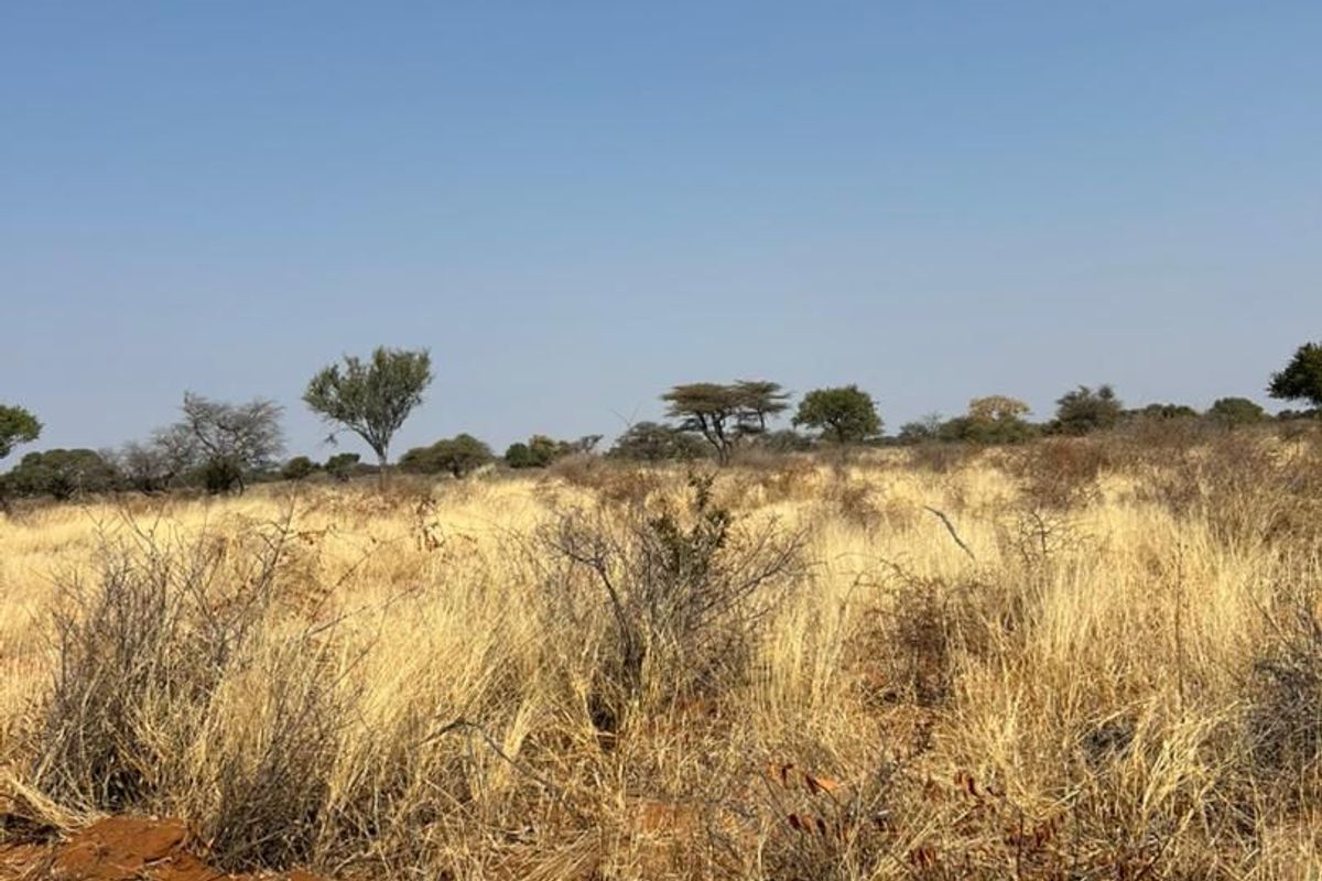 Phase 3 Omuramba Now selling! - Photo 5