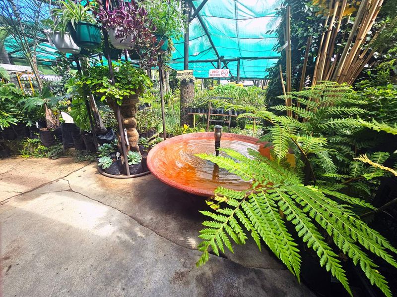 Four stands with exceptional opportunity with available in Forest Hill, Johannesburg. - Photo 8