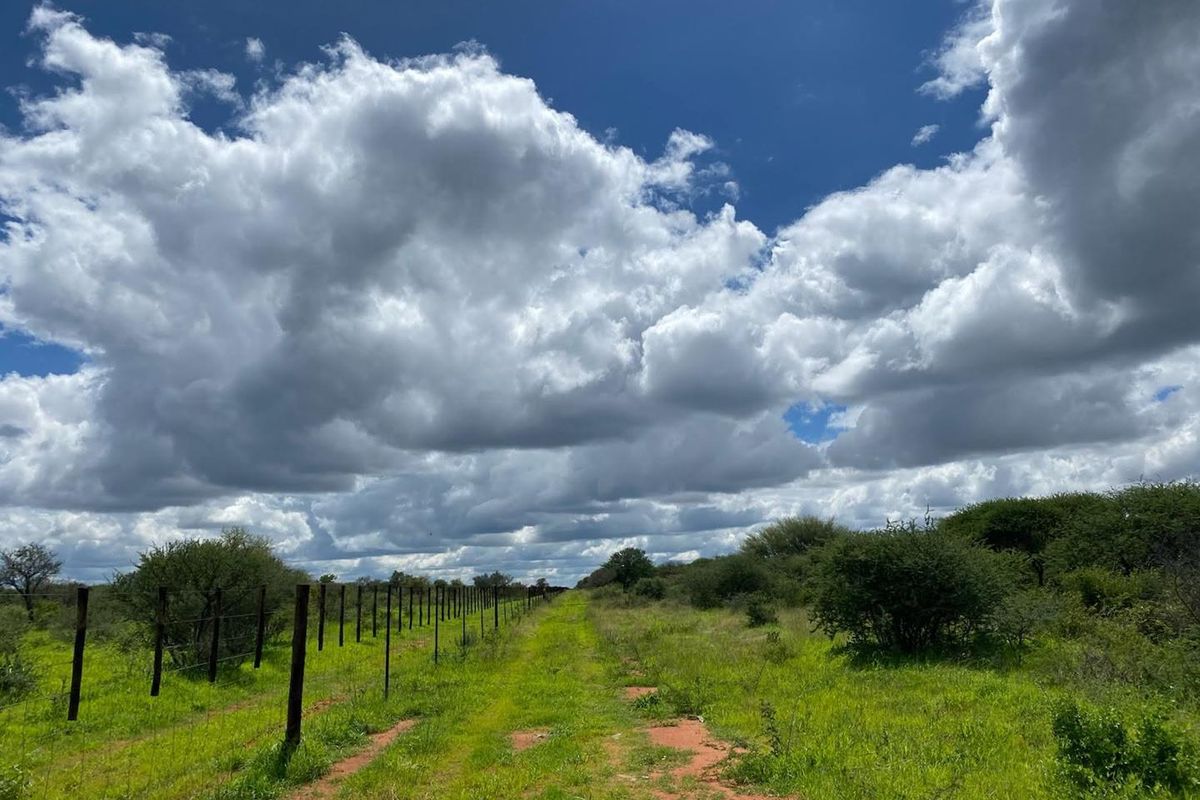Expansive open land on a small holding featuring natural vegetation, a dirt track, and perimeter wire fencing under a cloudy sky.