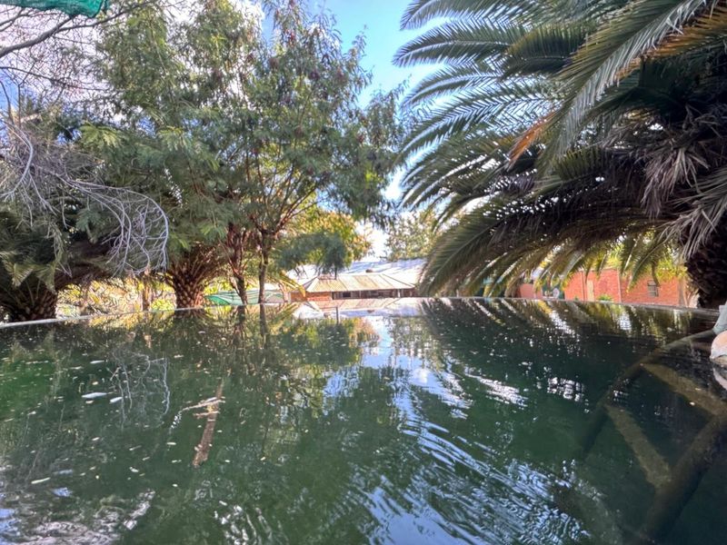 A beautiful, well-established cattle farm in the sought-after Otavi area — known for its excellent grazing and reliable rainfall. - Photo 2