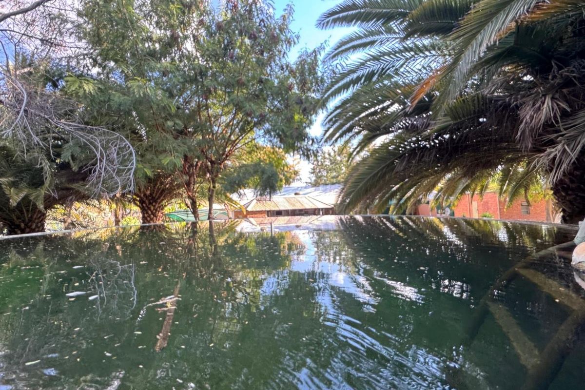 A beautiful, well-established cattle farm in the sought-after Otavi area — known for its excellent grazing and reliable rainfall. - Photo 2