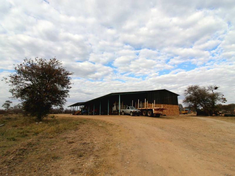 951ha Prime Wildlife, Cattle & Farming Farm for Sale – Limpopo Bushveld - Photo 5