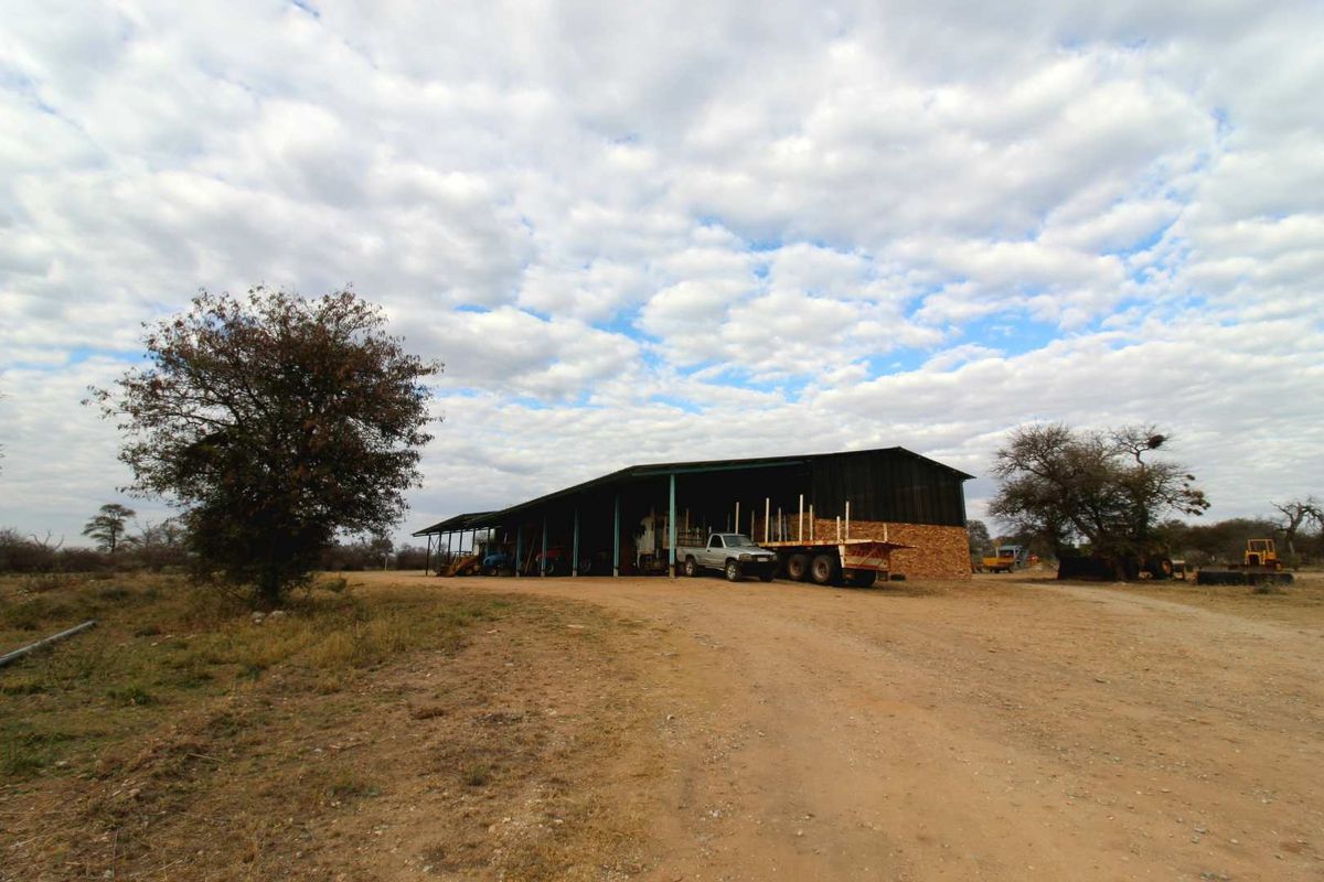 951ha Prime Wildlife, Cattle & Farming Farm for Sale – Limpopo Bushveld - Photo 5