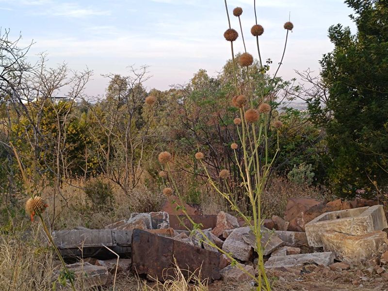 A view of the vacant residential land featuring natural vegetation, rocky terrain, and scattered construction debris on the site.