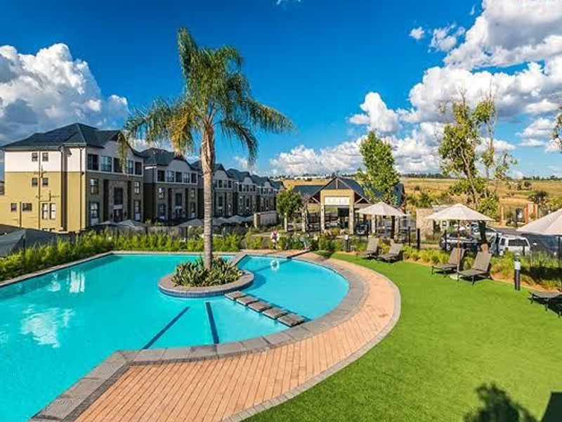 A well-maintained communal swimming pool area featuring a paved deck, landscaped lawn, and palm tree, set within a modern apartment complex.