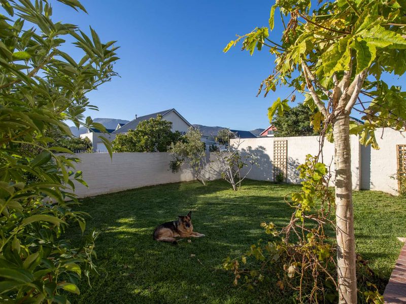 Unique Family Home in Secure Milkwood Estate - Photo 3