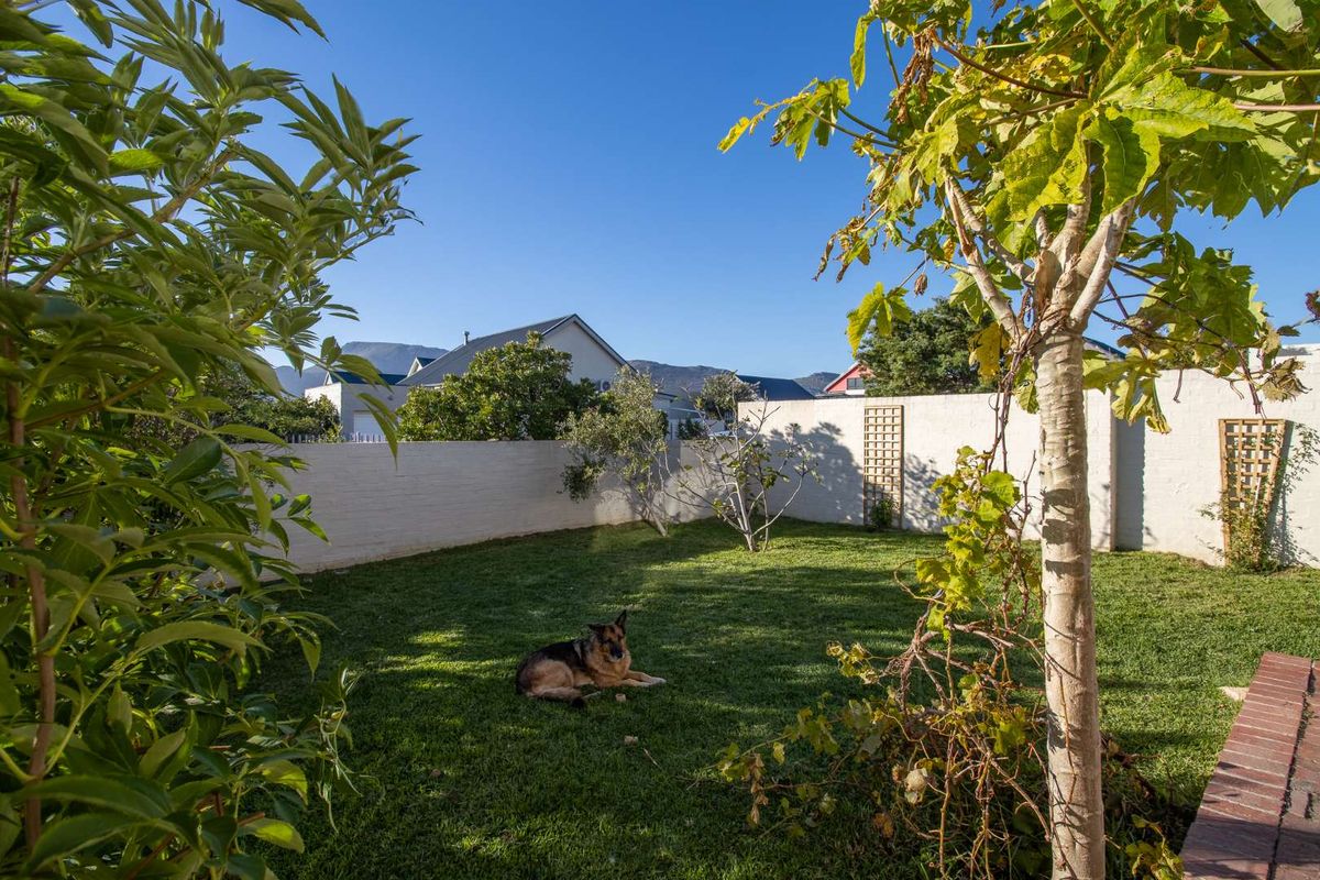 Unique Family Home in Secure Milkwood Estate - Photo 3