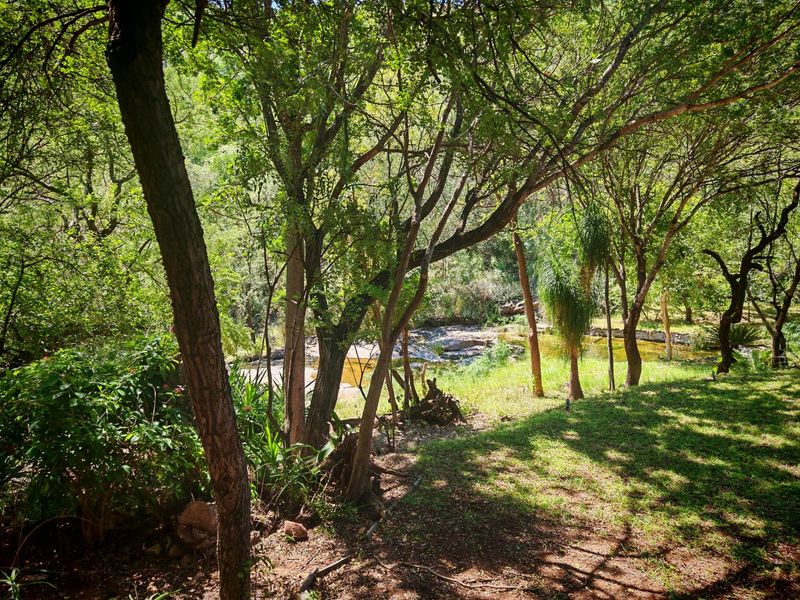 A serene, lush garden setting featuring mature trees and a natural stream, offering a peaceful outdoor environment.
