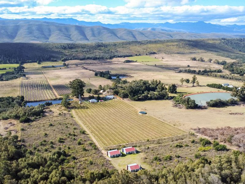 Grootnek Guest Farm – Krakeel River, R62 Eastern Cape - 46.492 ha - Photo 2