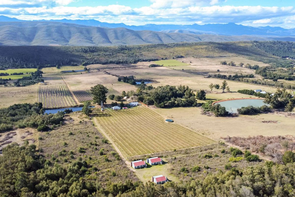 Grootnek Guest Farm – Krakeel River, R62 Eastern Cape - 46.492 ha - Photo 2