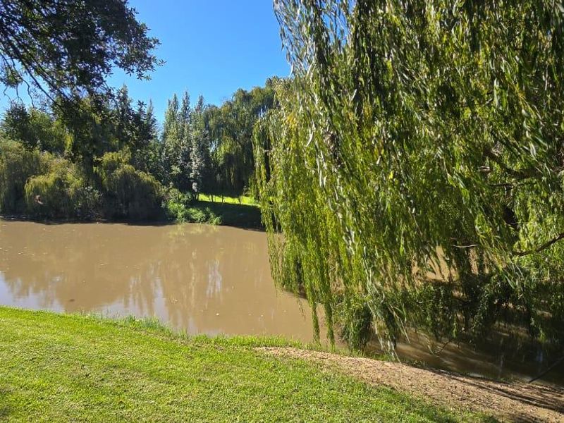 A scenic view of a riverbank featuring mature willow trees and well-maintained lawn area.