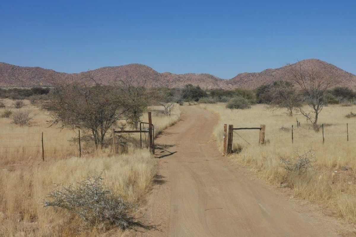 Beautiful farmland with endless possibilities - Photo 5