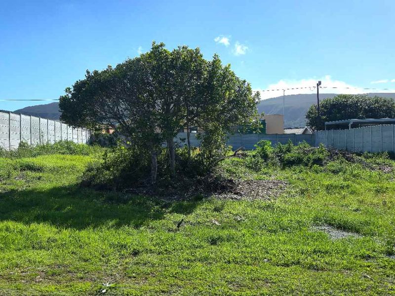 Prime Coastal Stand Just 100m from Franskraal Main Beach – Exceptional Location! - Photo 7