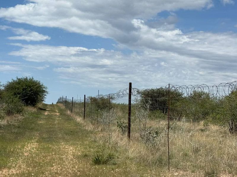 A view of the farm perimeter featuring a dirt track alongside a wire fence topped with razor wire.