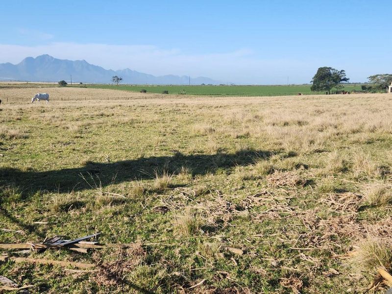 Farm For Sale In George Rural. - Photo 10