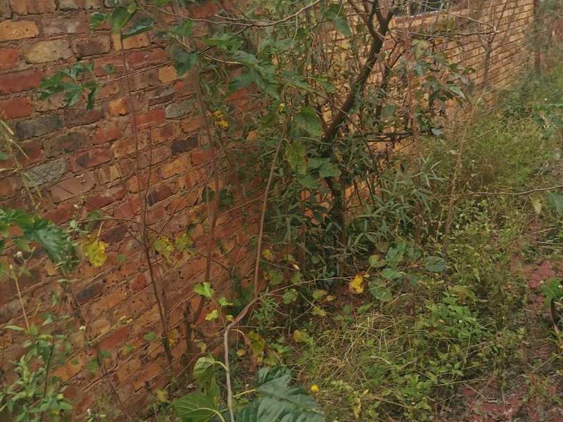 Pan Handle stand in Erasmuskloof for sale. - Photo 4