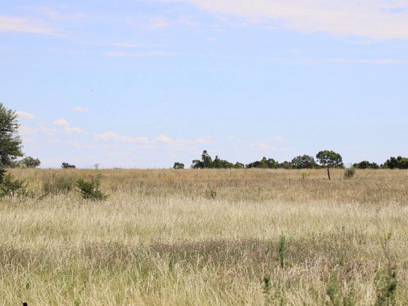 Vacant Smallholding for Sale 6.85 hectares of Opportunity - Photo 4