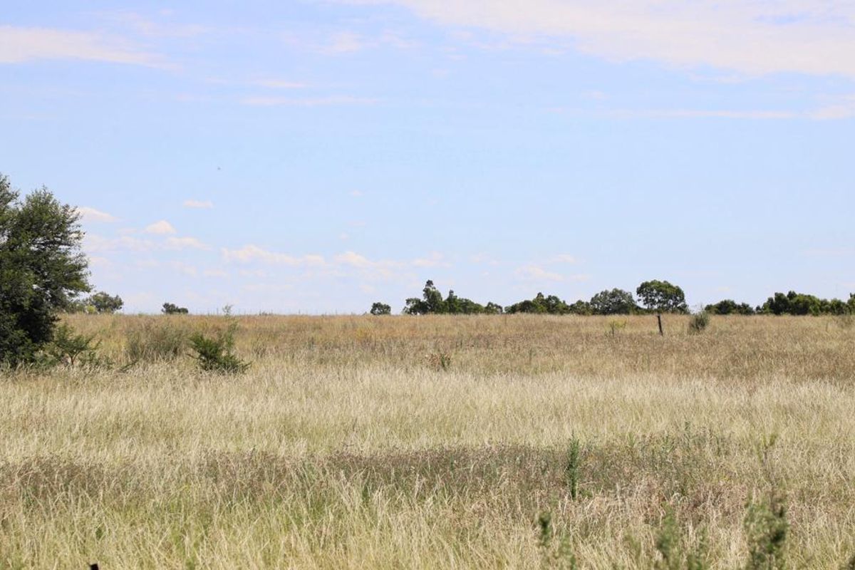 Vacant Smallholding for Sale 6.85 hectares of Opportunity - Photo 4