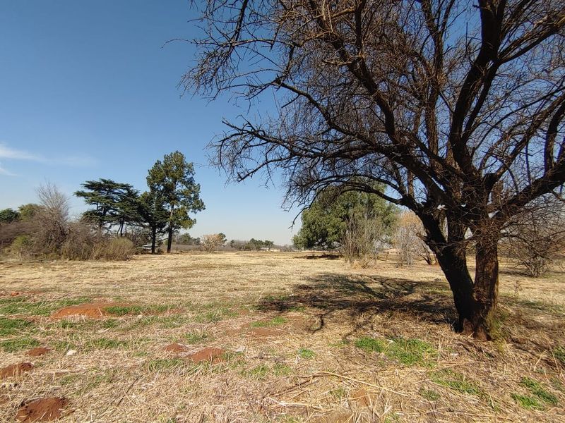 A wide-angle view of a vacant commercial land plot featuring mature trees and open, dry grass terrain.