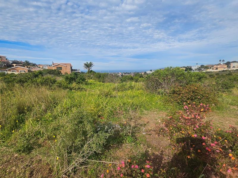 A wide-angle view of the vacant residential land featuring natural coastal vegetation and distant ocean views.