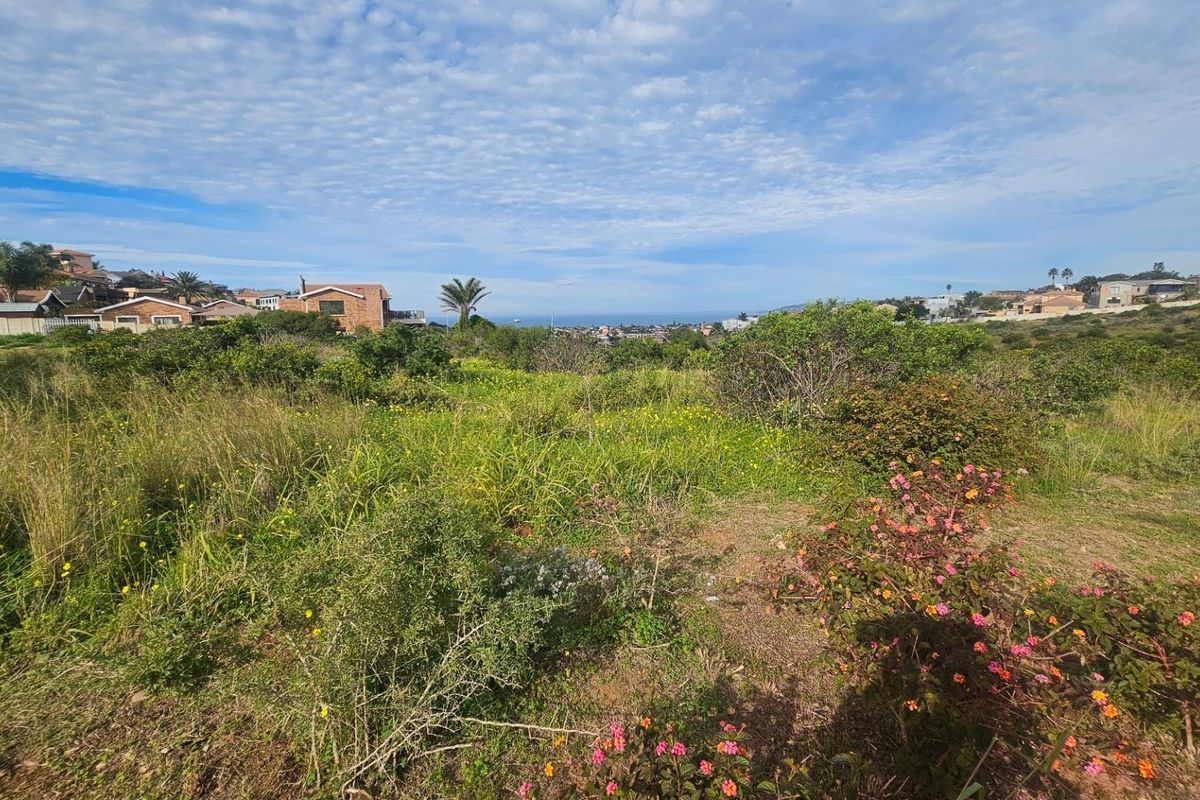 A wide-angle view of the vacant residential land featuring natural coastal vegetation and distant ocean views.