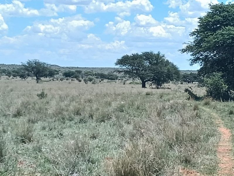 READY FOR DEVELEPMONT. 14 PLOTS . IN GAME FARM. BEAUTIFUL VIEW. - Photo 4