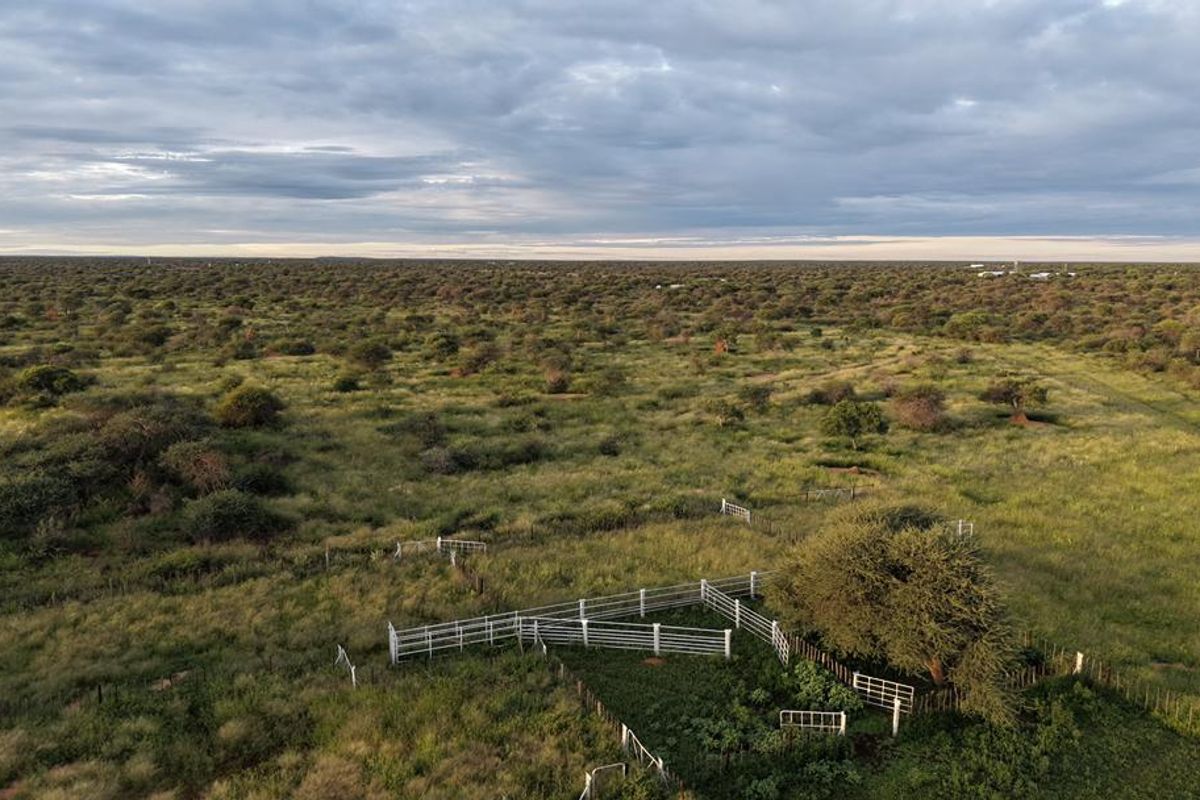 Hochfeld Dream Farms: Last Phase Almost Sold Out! - Photo 4